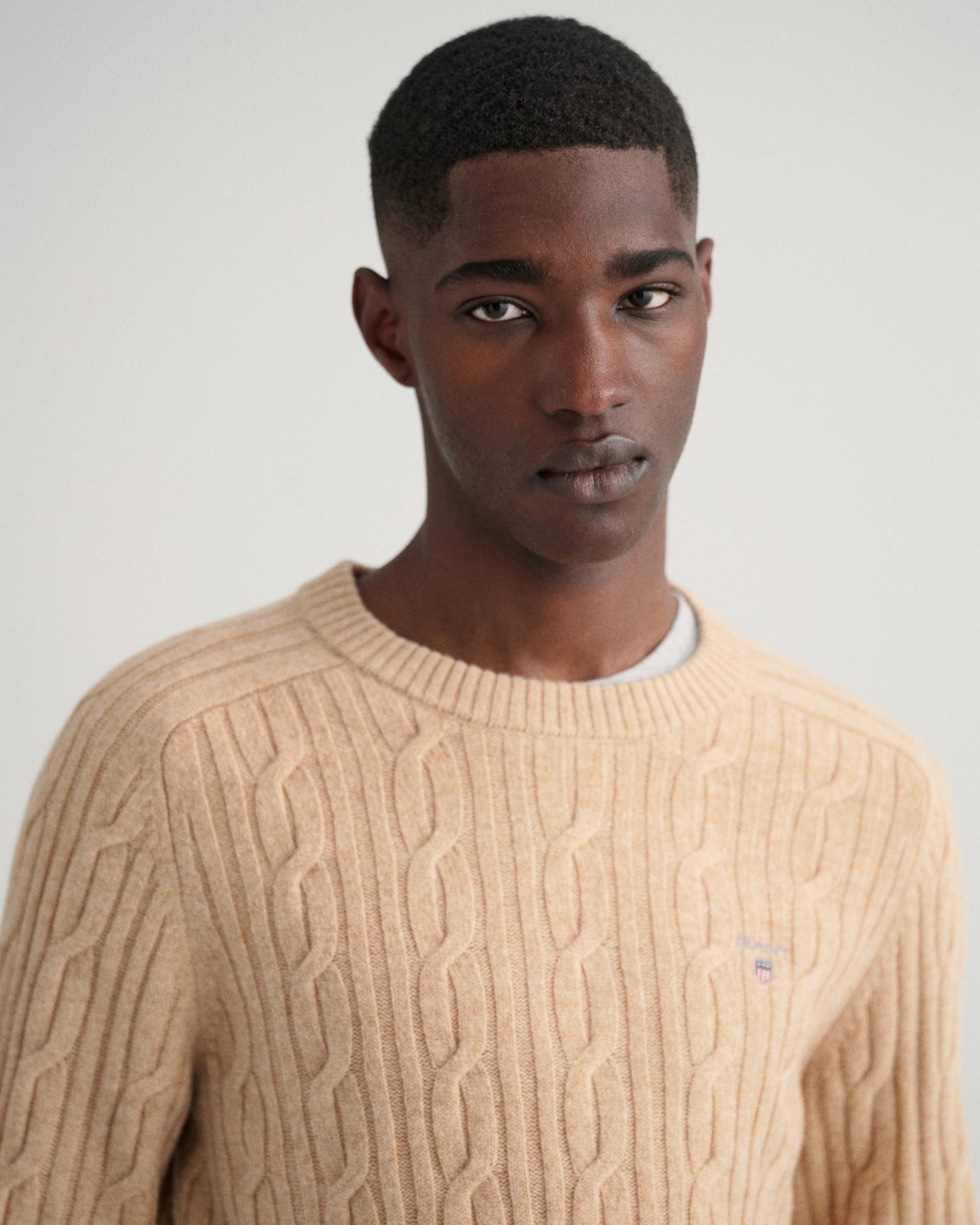 Gant Men Beige Solid Round Neck Sweater