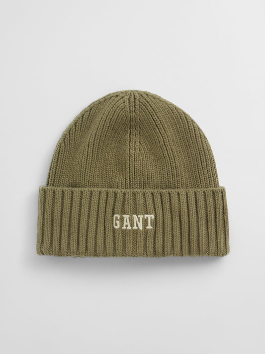 Gant Boys Green Graphic Beanies