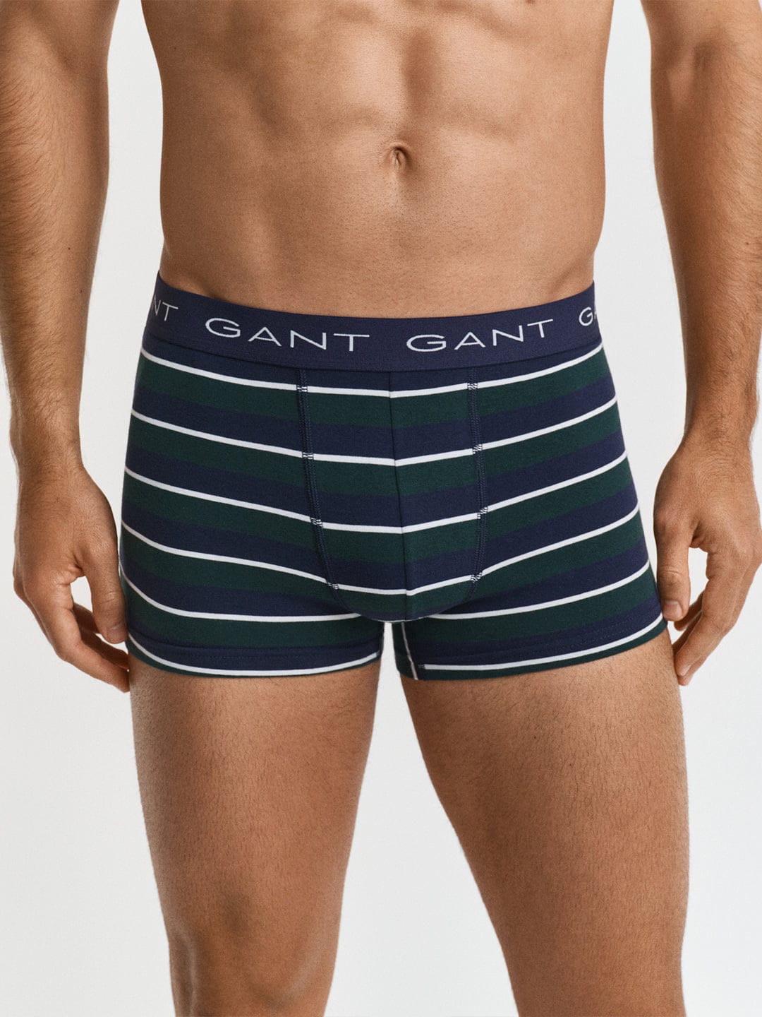 Gant Men Green Striped Trunk