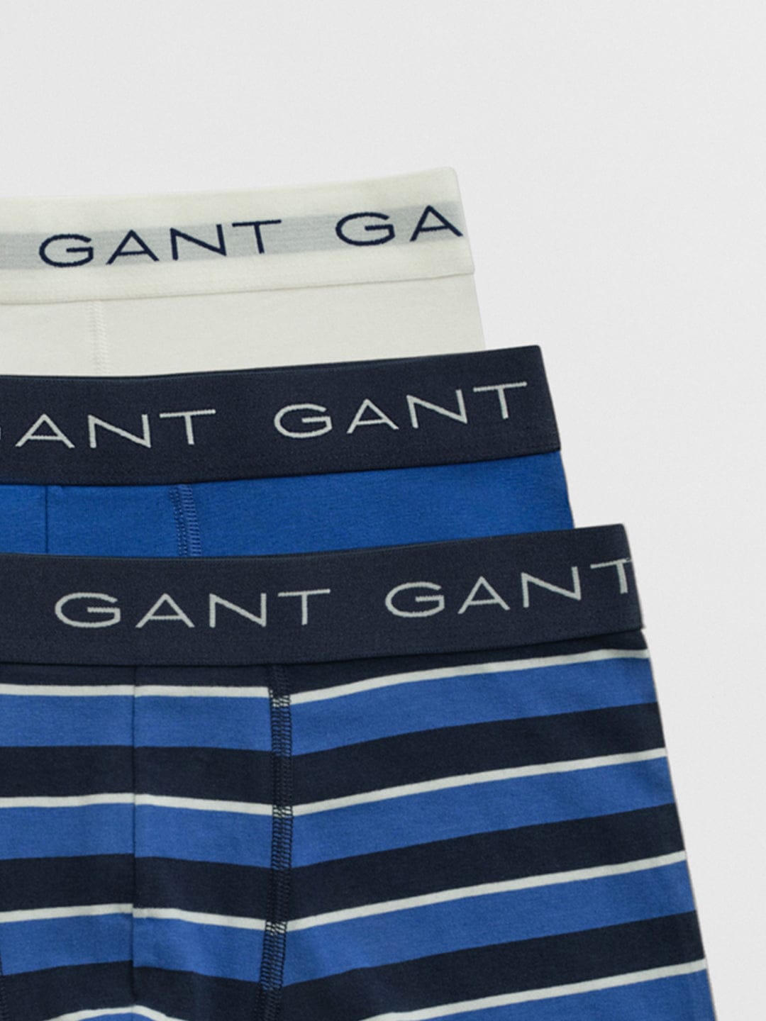 Gant Men Blue Striped Trunk