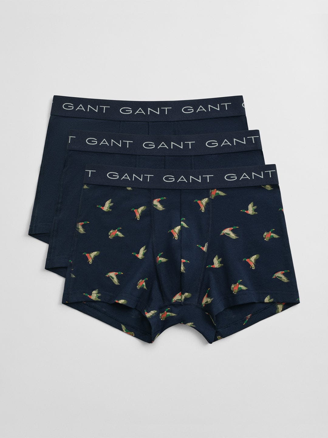 Gant Men Blue Printed Trunk