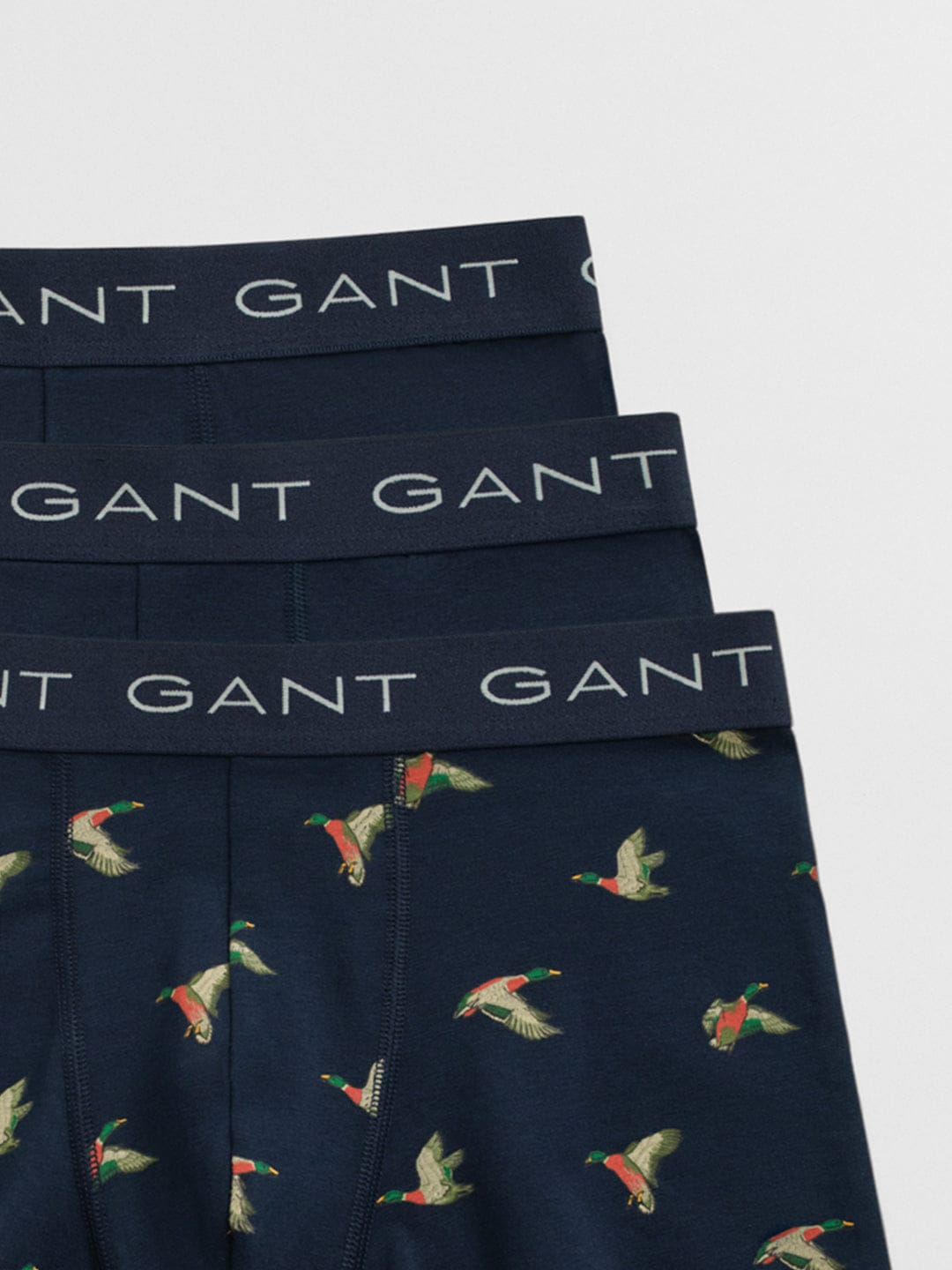 Gant Men Blue Printed Trunk