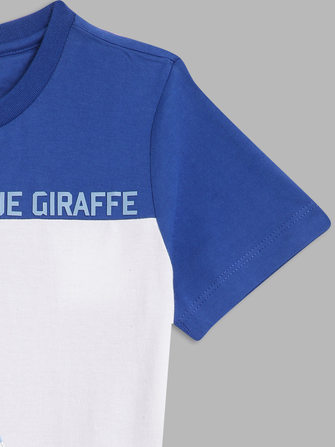 Blue Giraffe Boys Multicolor Colorblocked Round Neck Short Sleeves Tshirt