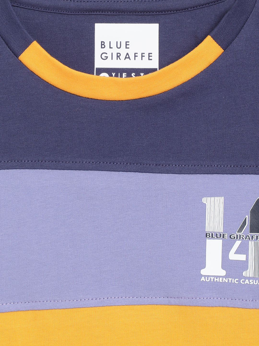 Blue Giraffe Boys Multicolor Colorblocked Round Neck Full Sleeves Tshirt