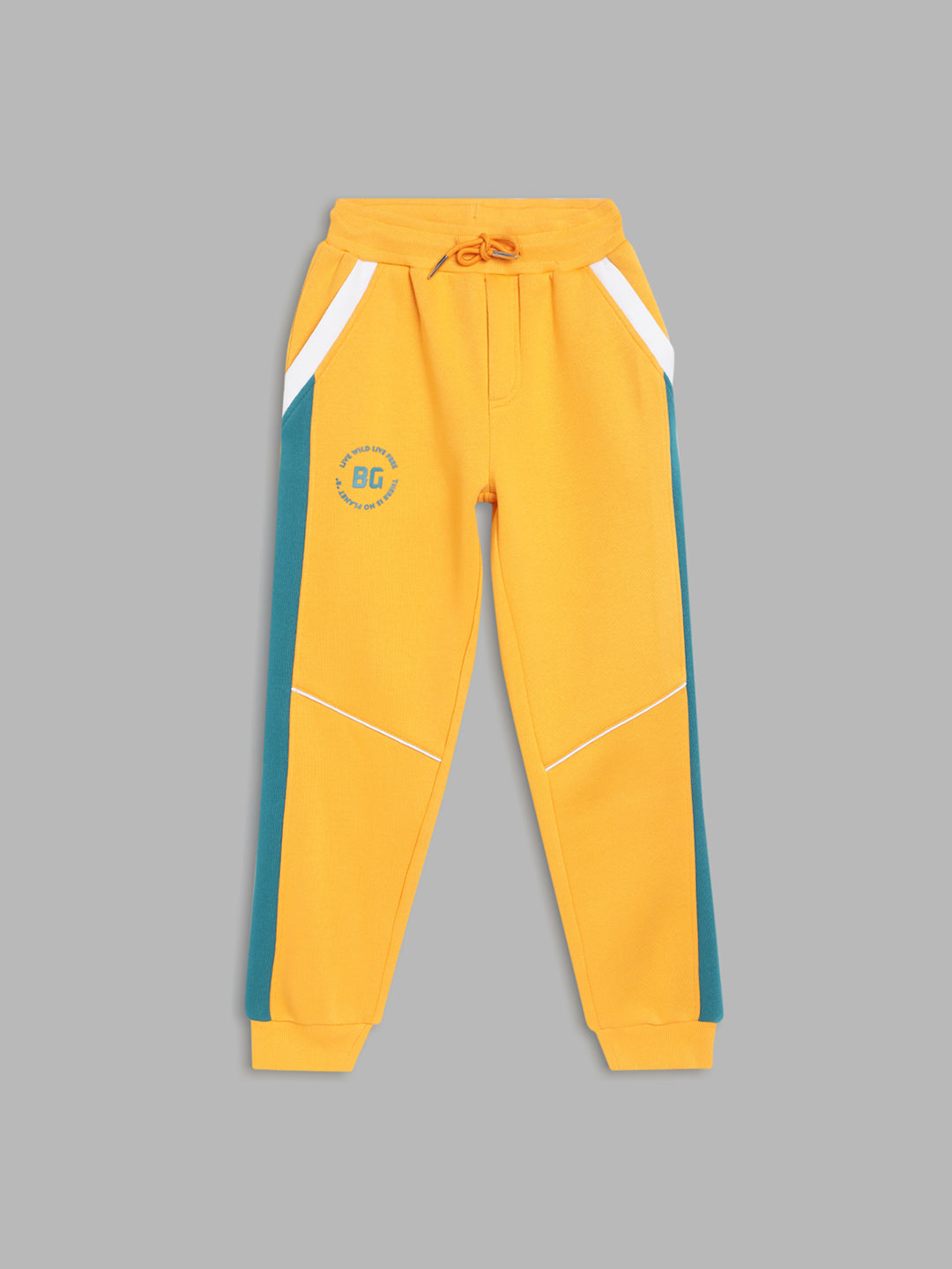 Blue Giraffe Boys Yellow Colorblocked Straight Fit Mid-Rise Jogger Style Track Pants