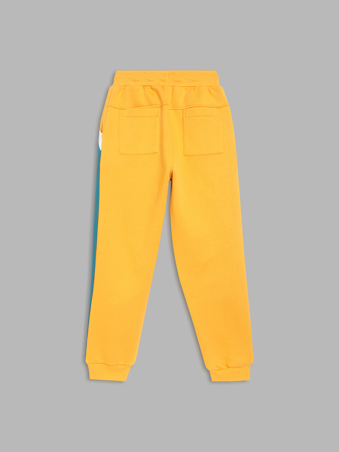 Blue Giraffe Boys Yellow Colorblocked Straight Fit Mid-Rise Jogger Style Track Pants