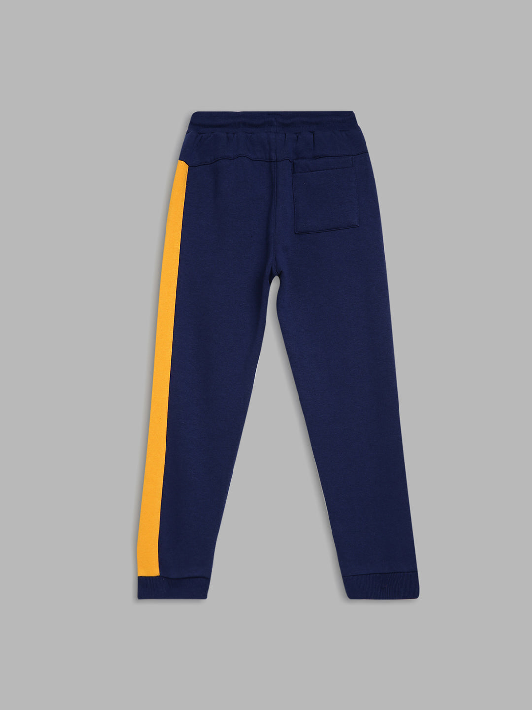 Blue Giraffe Boys Navy Blue Colorblocked Regular Fit Mid-Rise Jogger Style Track Pants
