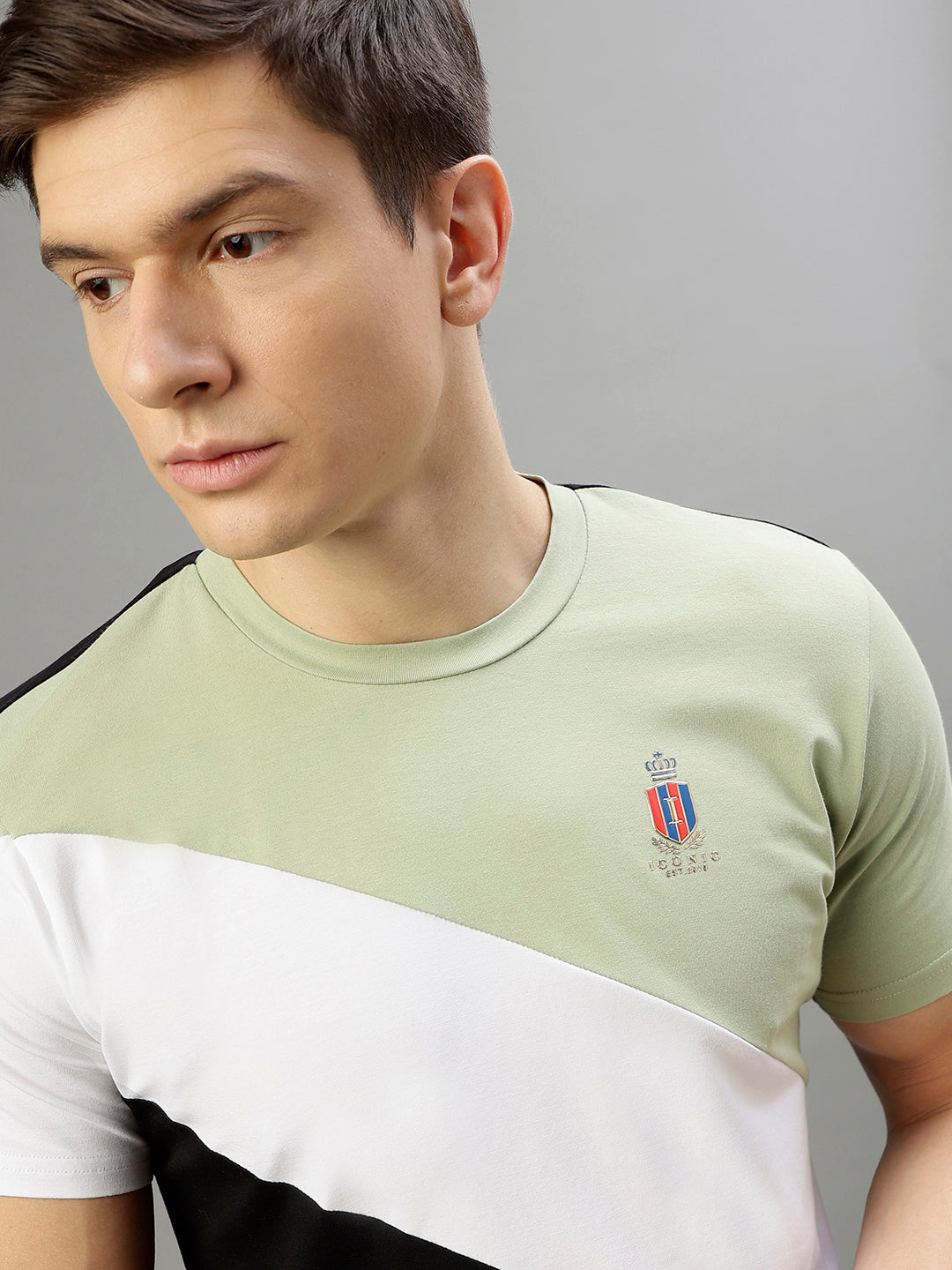 Iconic Men Multicolor Colorblocked Round Neck Short Sleeves Tshirt