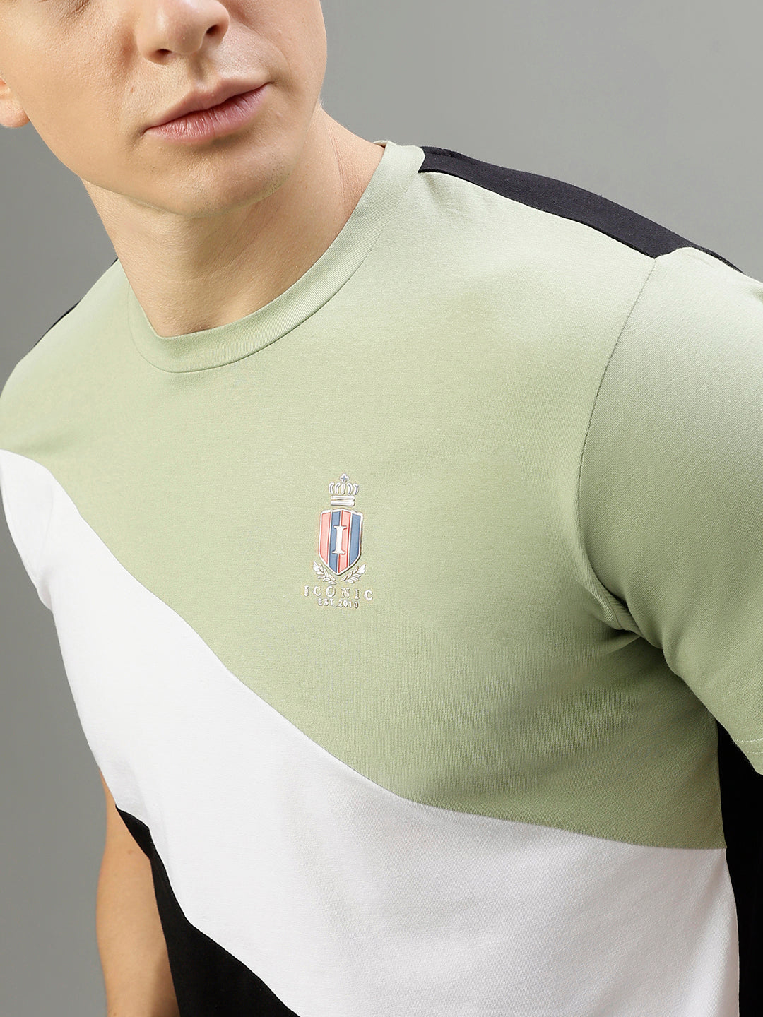 Iconic Men Multicolor Colorblocked Round Neck Short Sleeves Tshirt