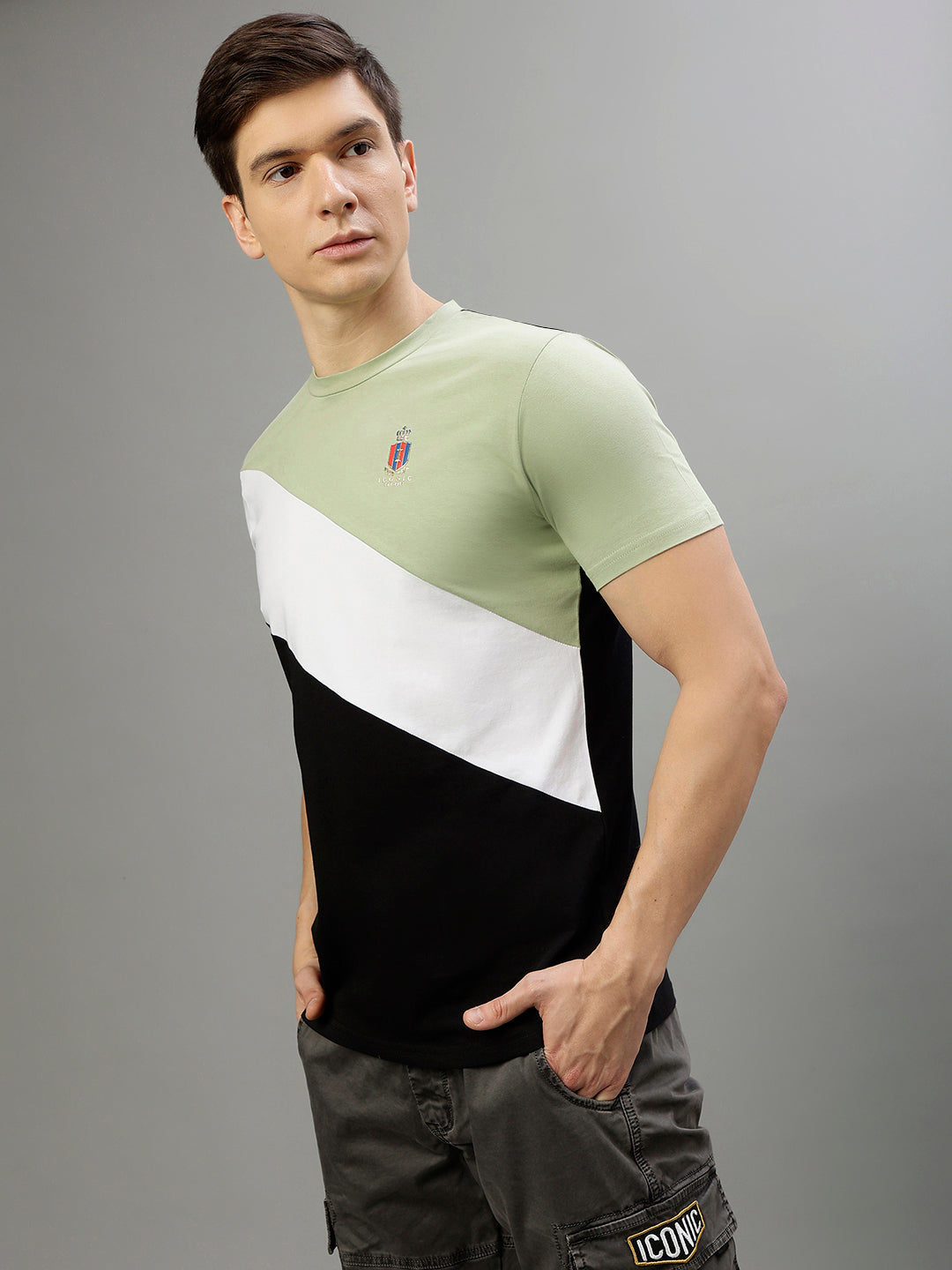 Iconic Men Multicolor Colorblocked Round Neck Short Sleeves Tshirt
