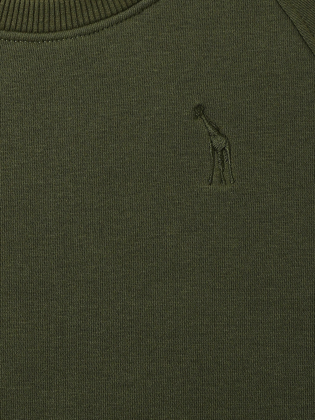 Blue Giraffe Boys Olive Solid Round Neck Full Sleeves Sweatshirt