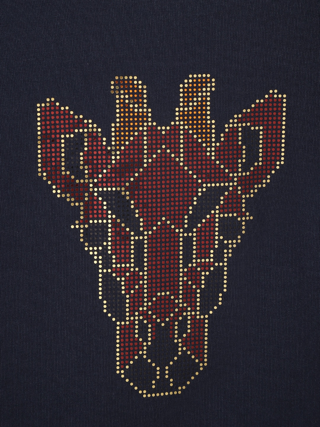 Blue Giraffe Boys Navy Blue Embellished Round Neck Short Sleeves Tshirt