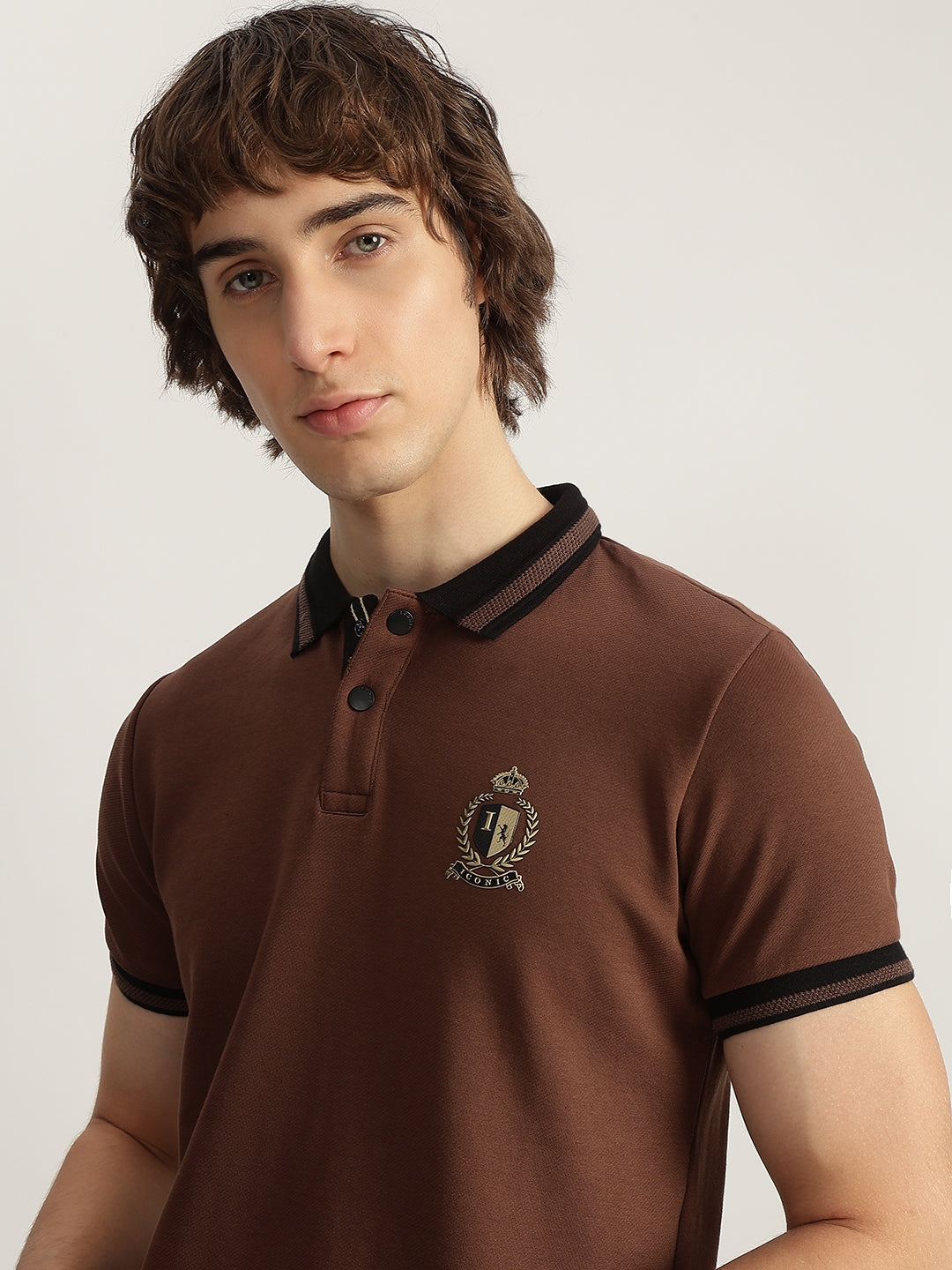 Iconic Men Brown Solid Polo Neck Short Sleeves Tshirt