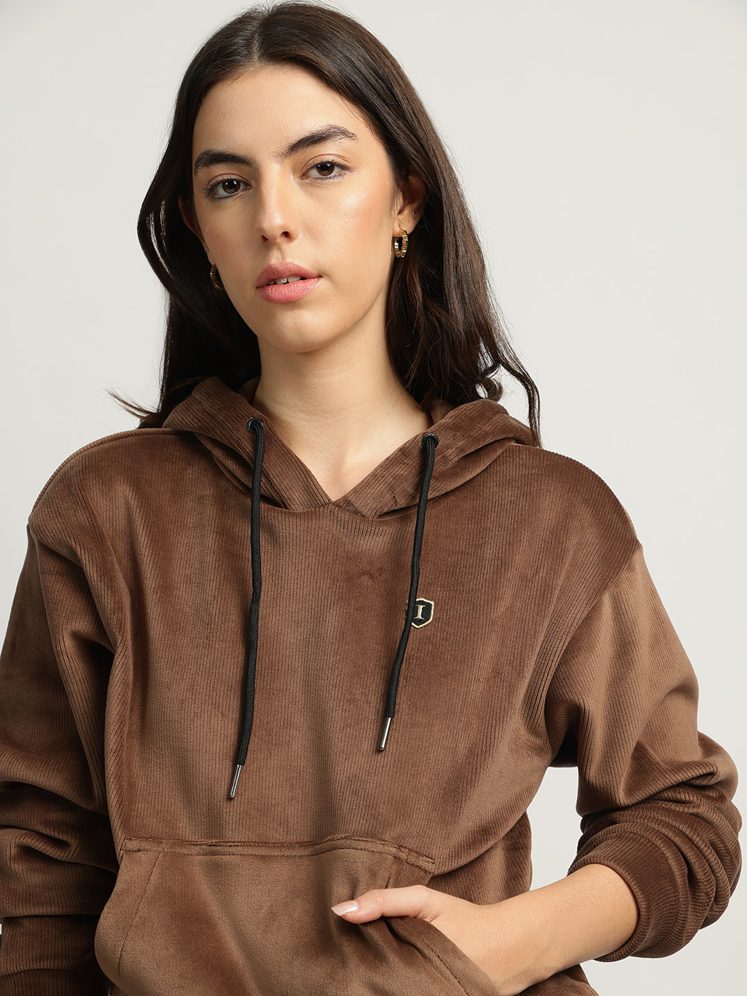 Iconic Women Brown Solid Round Neck Full Sleeves Sweatshirt
