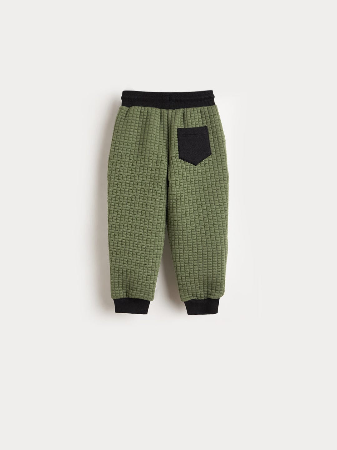 Blue Giraffe Boys Jogger Green Logo Sweatpant