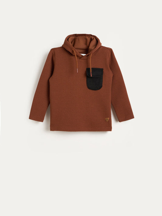 Blue Giraffe Boys Brown Solid Hoodie
