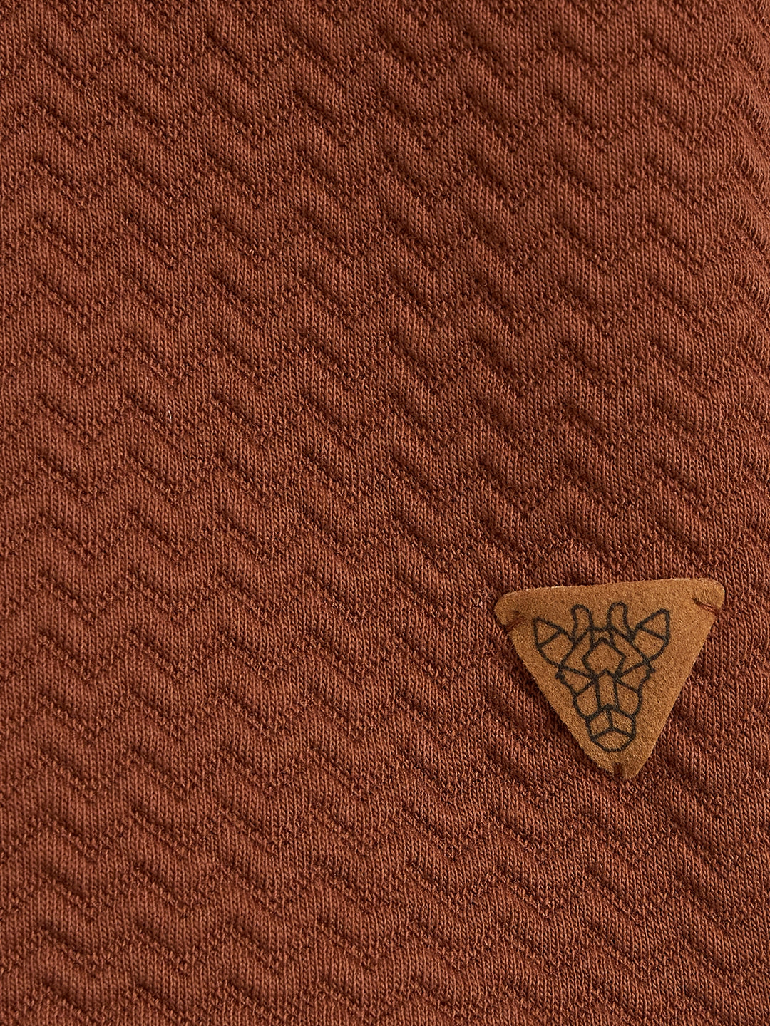 Blue Giraffe Boys Brown Solid Hoodie