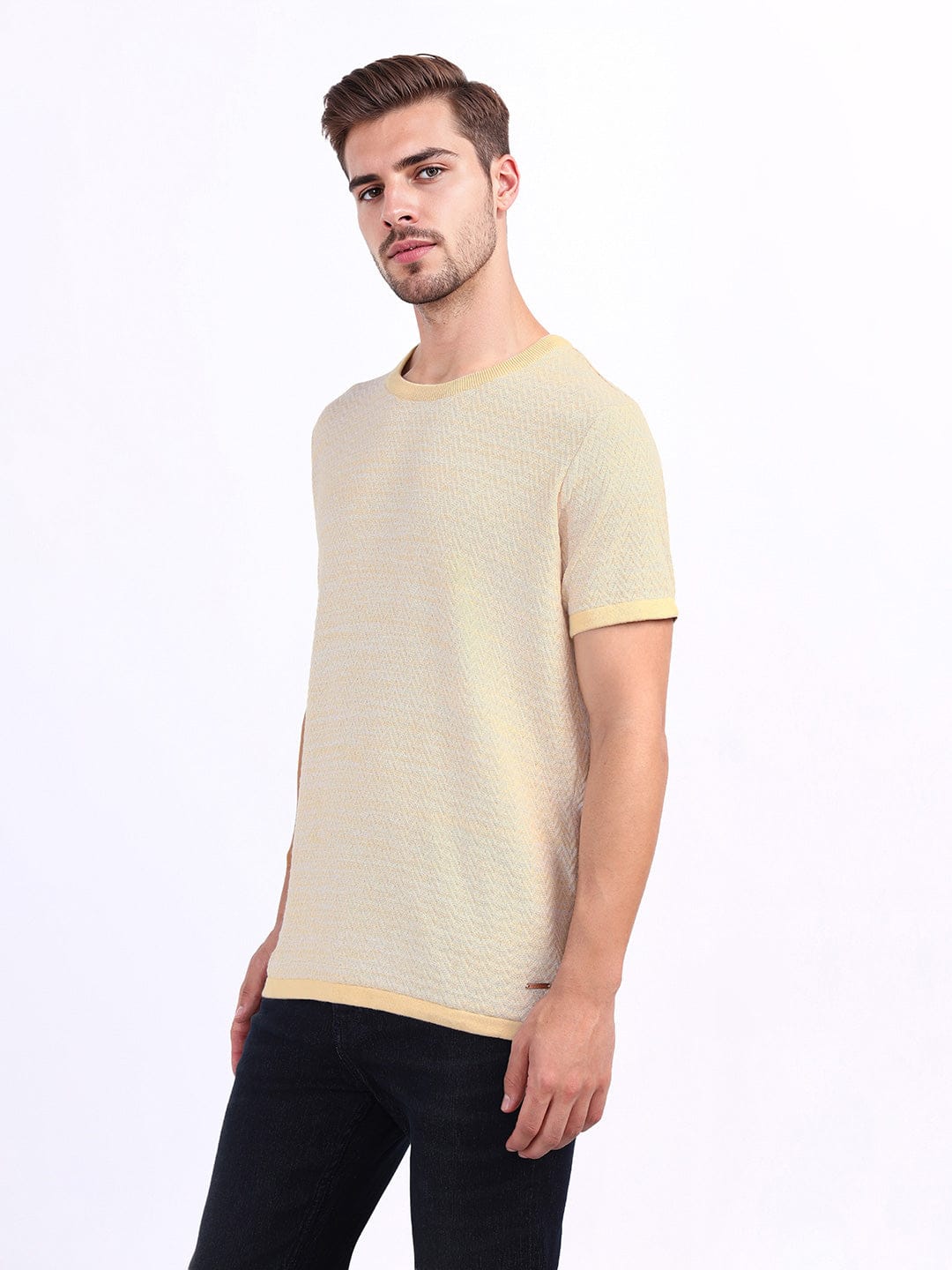 Iconic Men Beige Chevron Crew Neck Tshirt