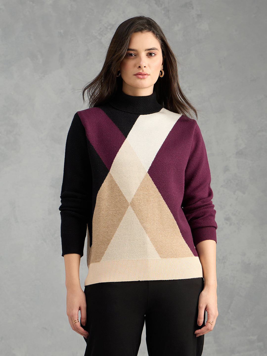 Iconic Women Multicolor Textured High Neck Sweater