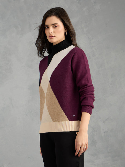 Iconic Women Multicolor Textured High Neck Sweater