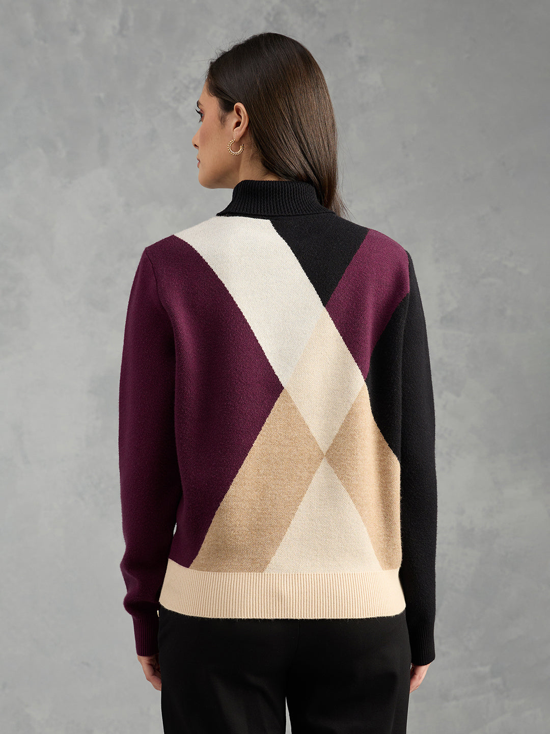 Iconic Women Multicolor Textured High Neck Sweater