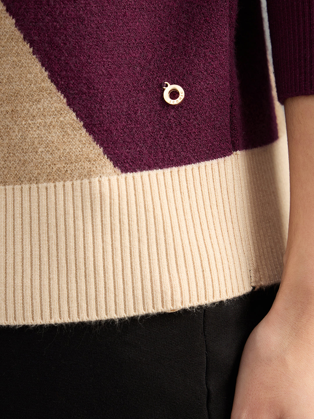 Iconic Women Multicolor Textured High Neck Sweater