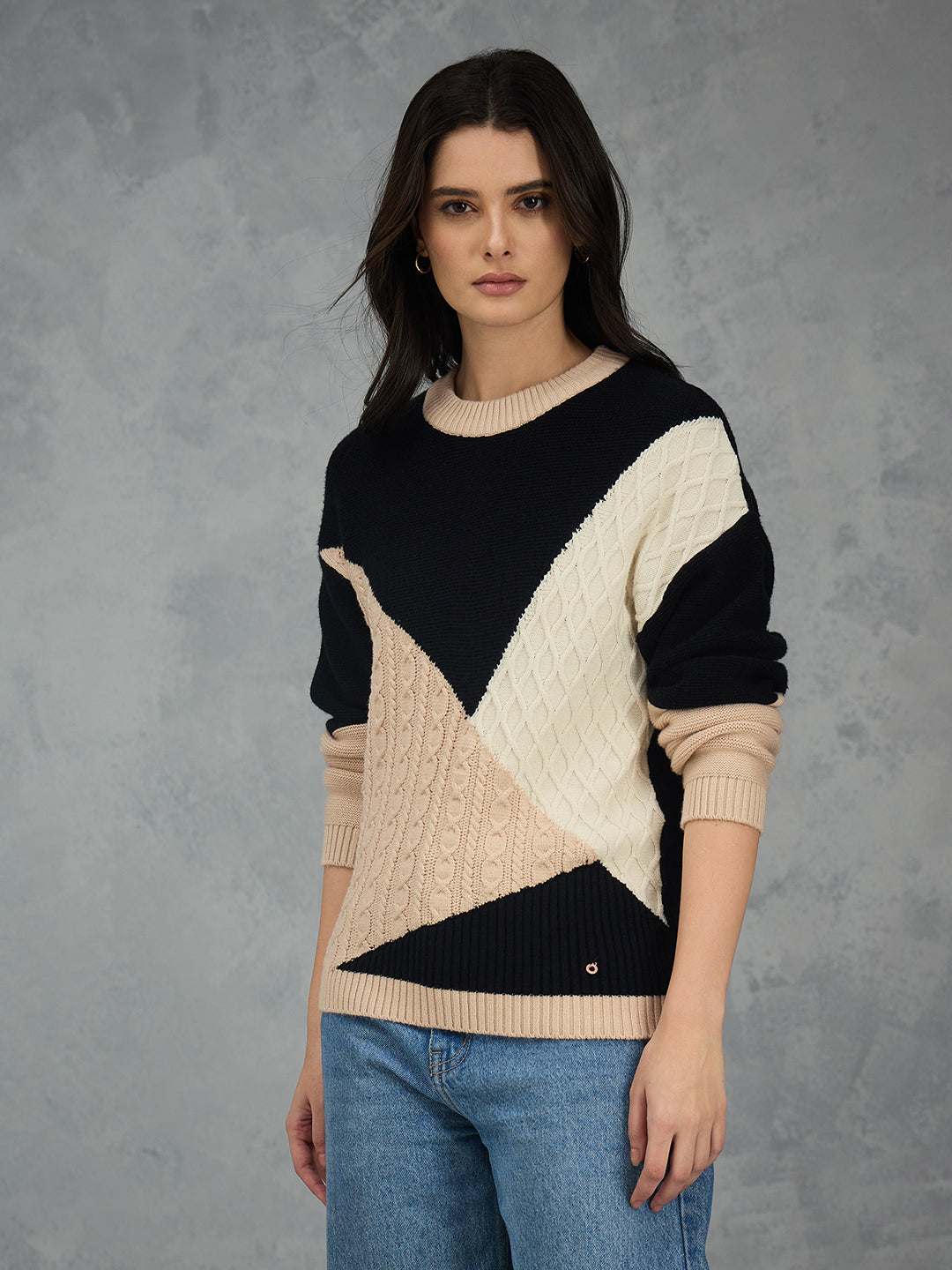 Iconic Women Multicolor Textured Round Neck Sweater