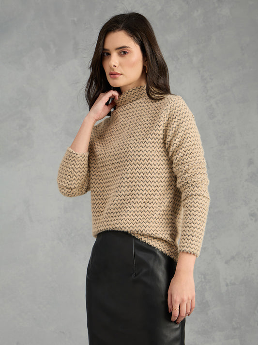 Iconic Women Brown Textured High Neck Sweater