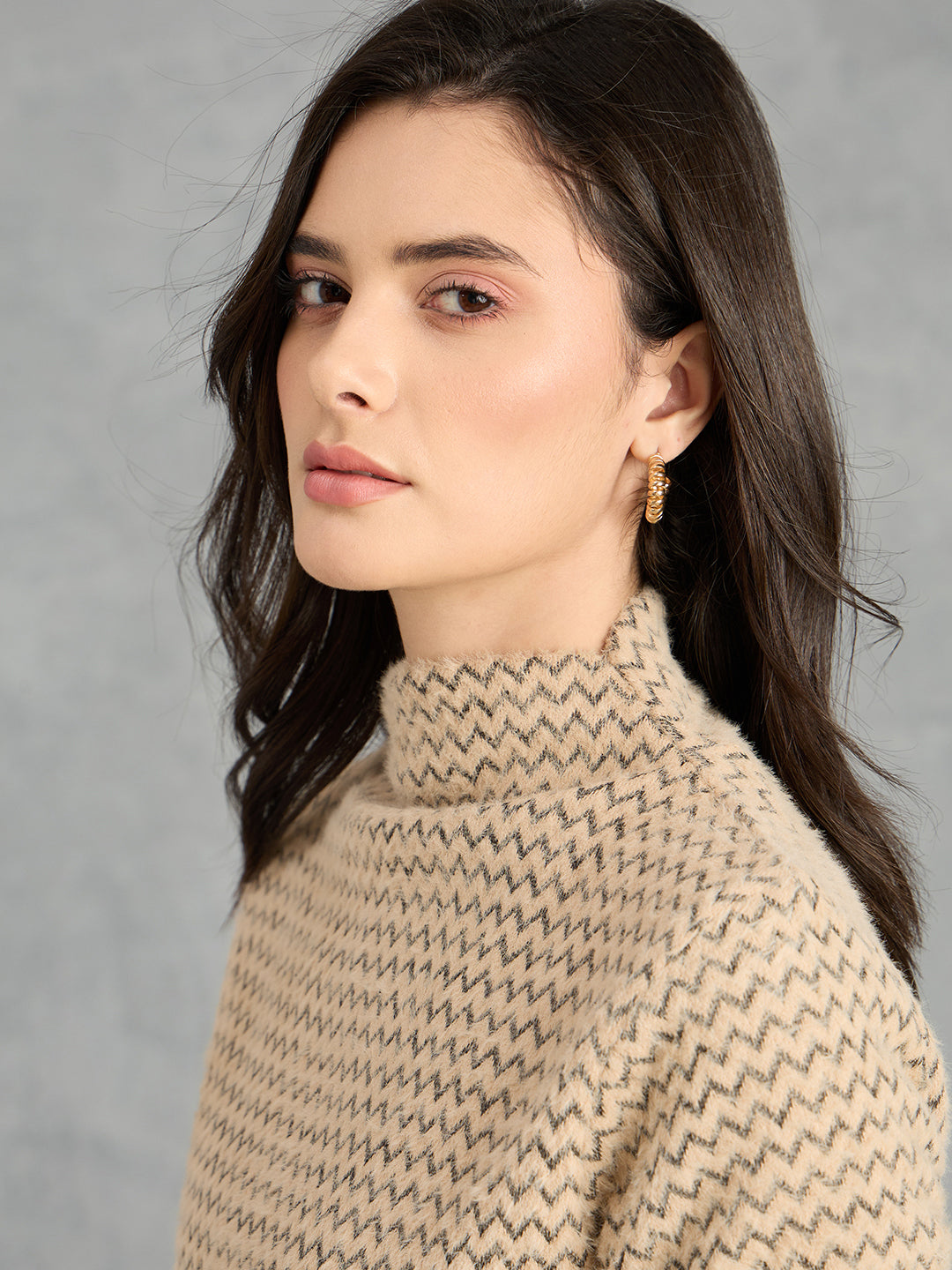 Iconic Women Brown Textured High Neck Sweater