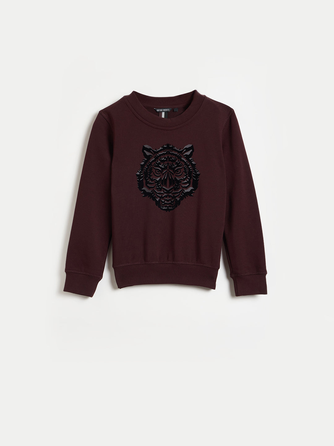 ANTONY MORATO Boys Maroon Embroidered Sweatshirt