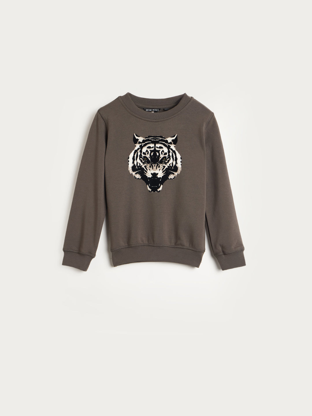 ANTONY MORATO Boys Brown Embroidered Sweatshirt