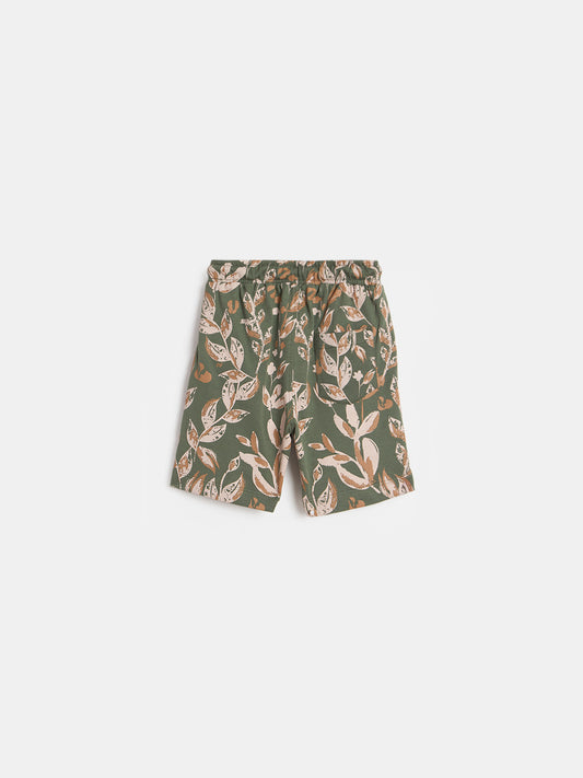 Blue Giraffe Boys Printed Green Shorts