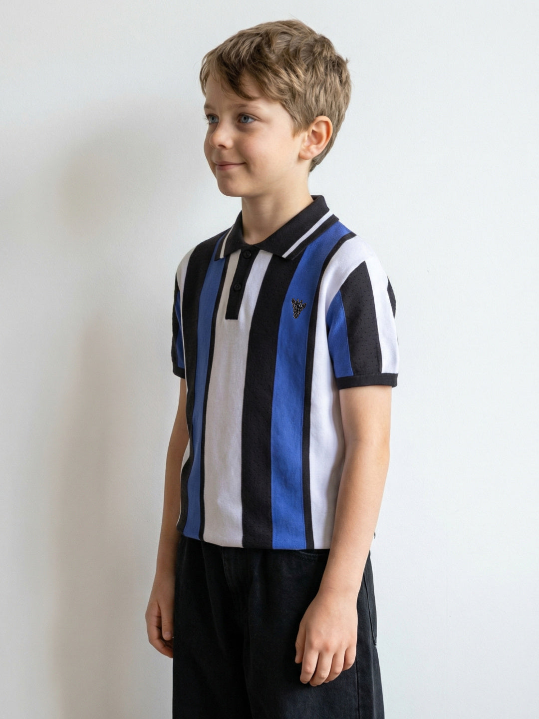 Blue Giraffe Boys Multi Solid Regular Fit Pure Cotton Polo T-Shirt