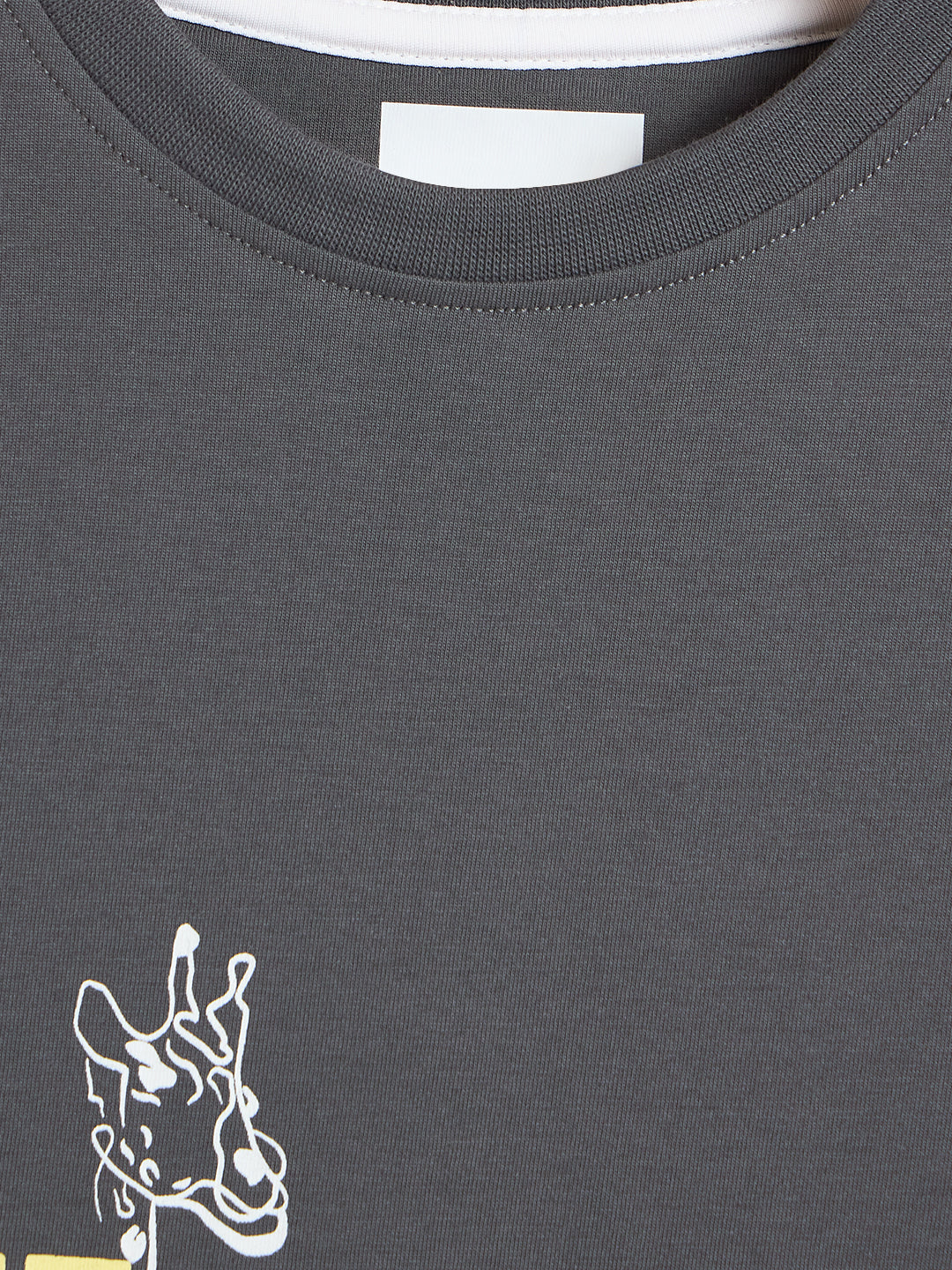 Blue Giraffe Boys Grey Printed Regular Fit Pure Cotton T-Shirt