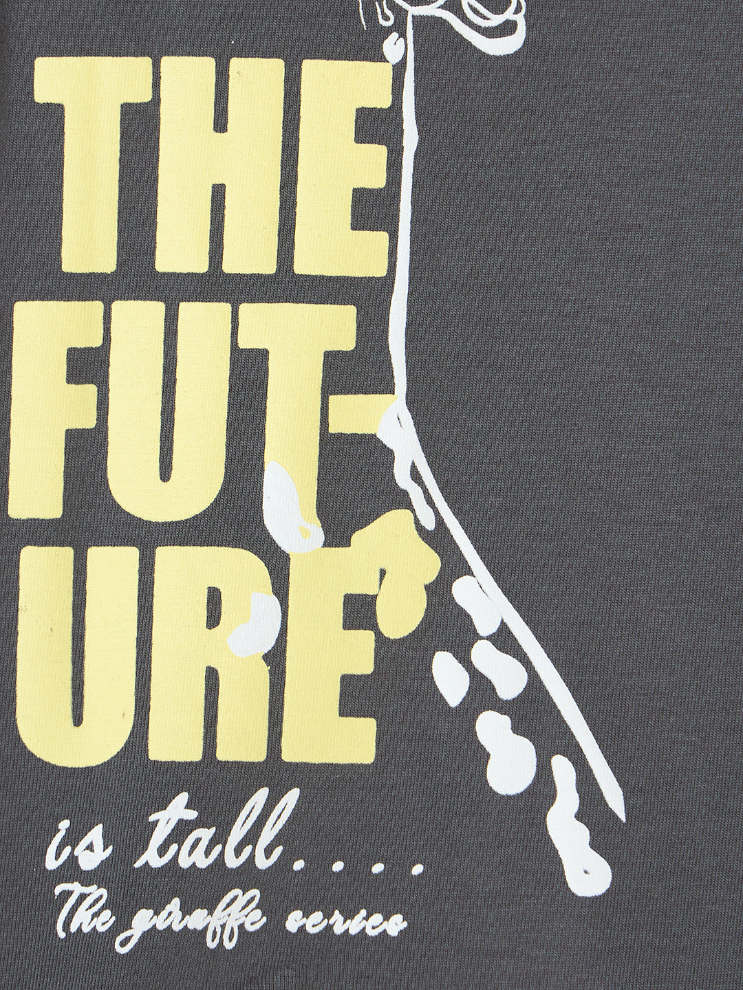 Blue Giraffe Boys Grey Printed Regular Fit Pure Cotton T-Shirt