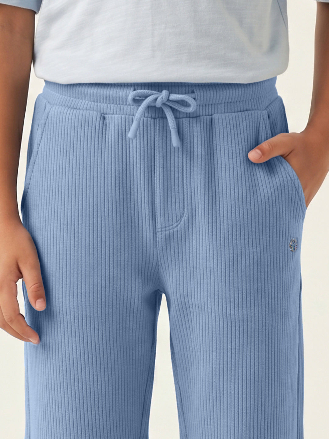 Blue Giraffe Boys Blue Solid Regular Fit Jogger