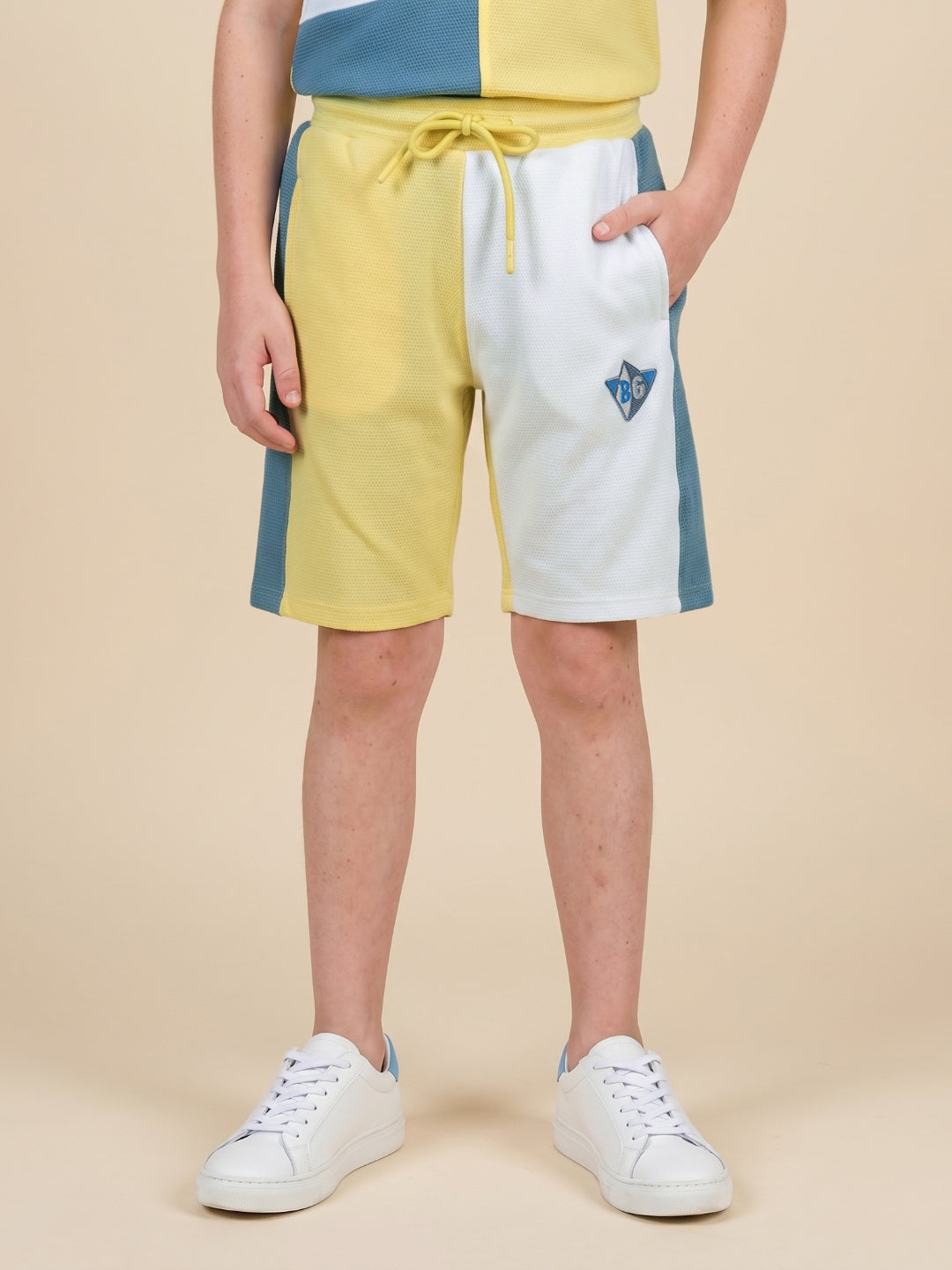Blue Giraffe Multi Solid Boys Shorts