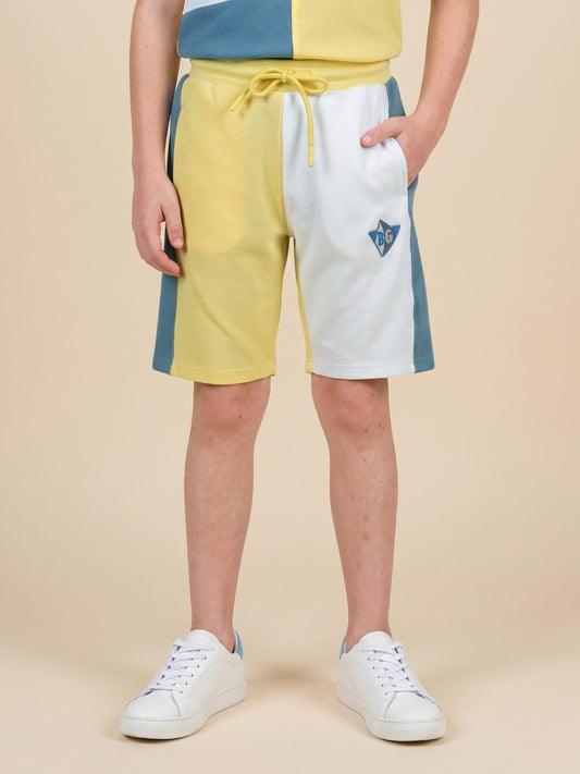 Blue Giraffe Multi Solid Boys Shorts
