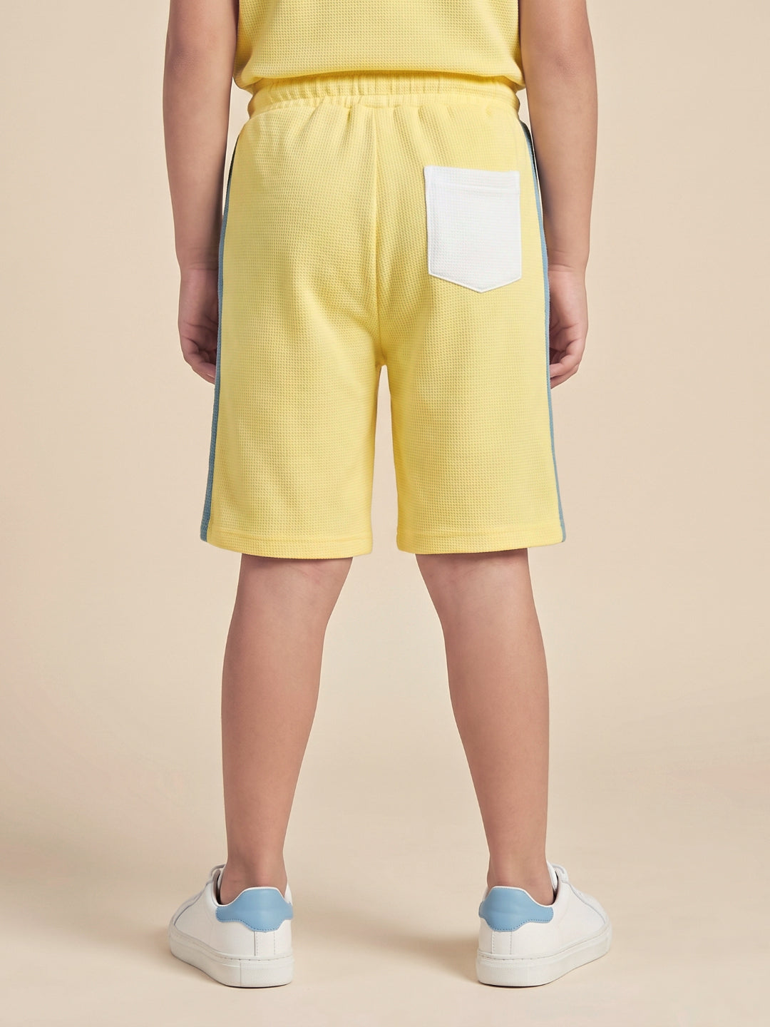 Blue Giraffe Multi Solid Boys Shorts