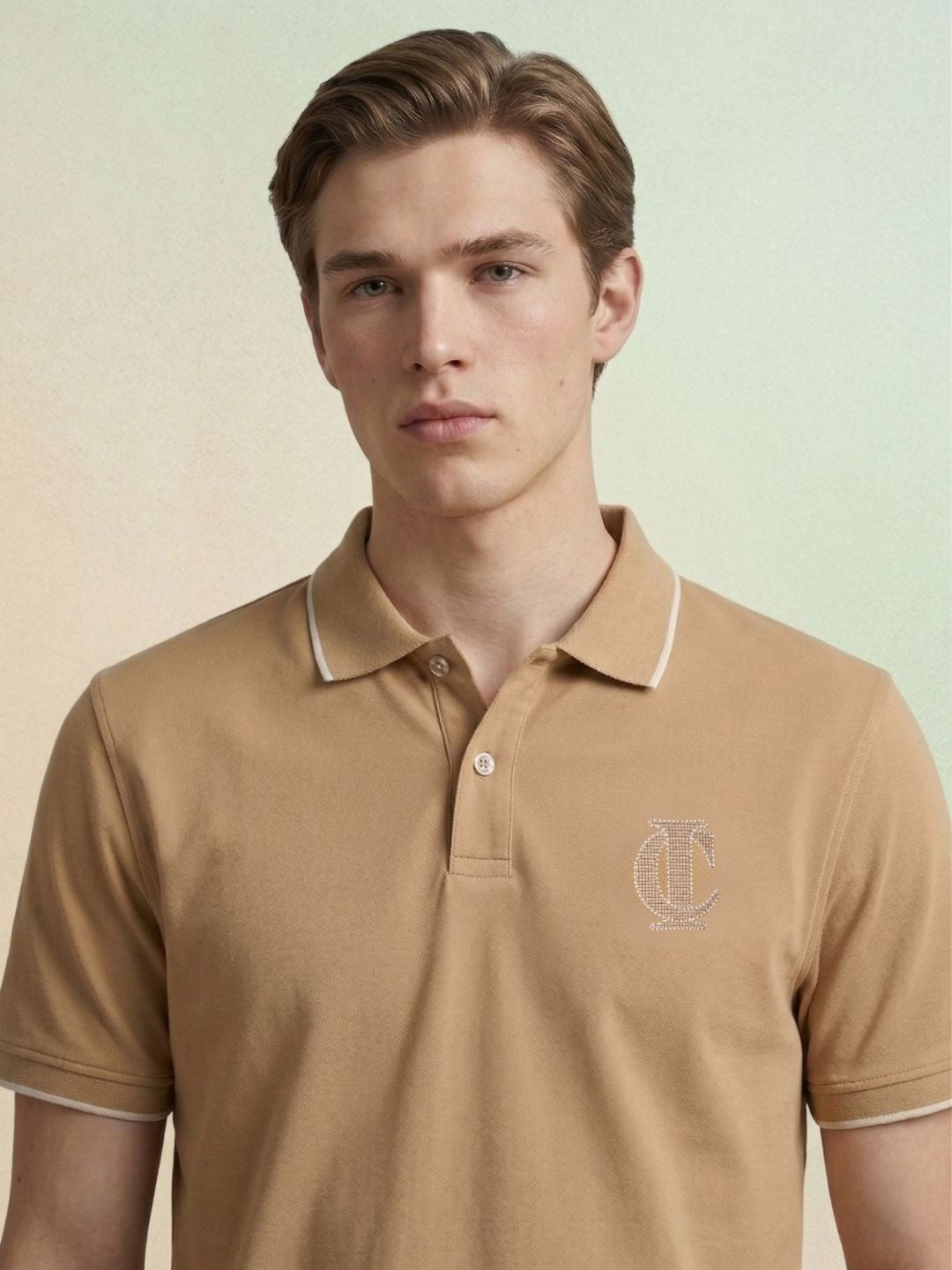 Iconic Men Brown Solid Regular Fit Pure Cotton Polo T-Shirt