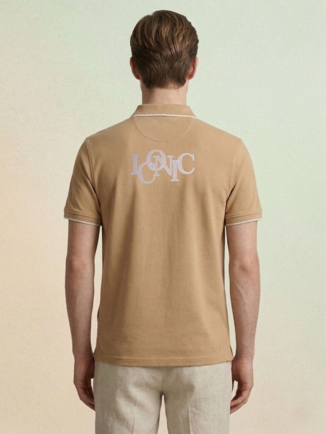 Iconic Men Brown Solid Regular Fit Pure Cotton Polo T-Shirt