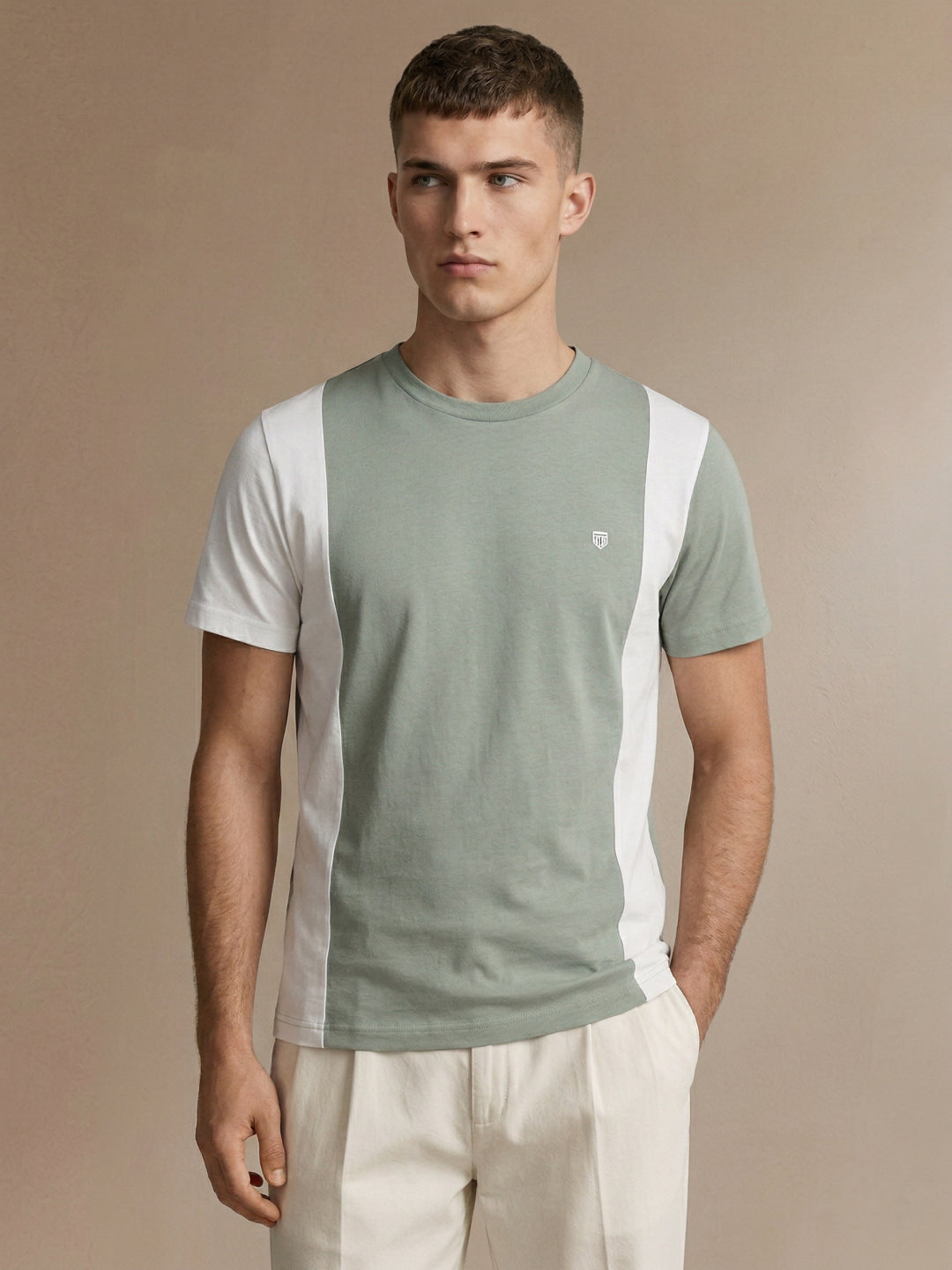 Iconic Men Green Colorblock Regular Fit Pure Cotton T-Shirt