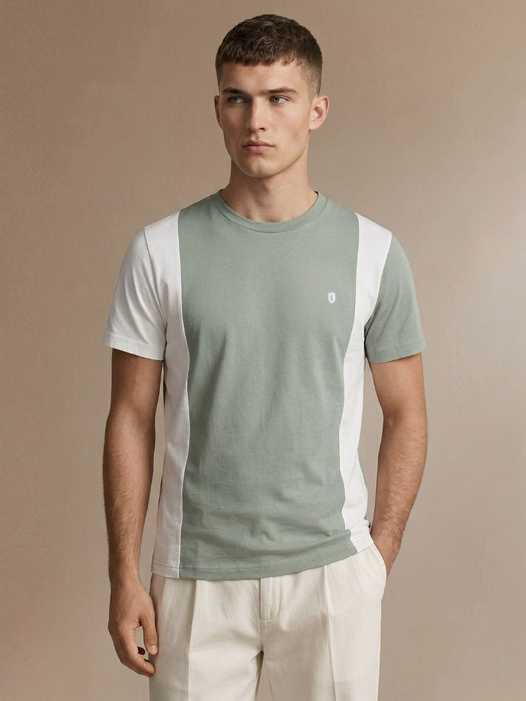 Iconic Men Green Colorblock Regular Fit Pure Cotton T-Shirt