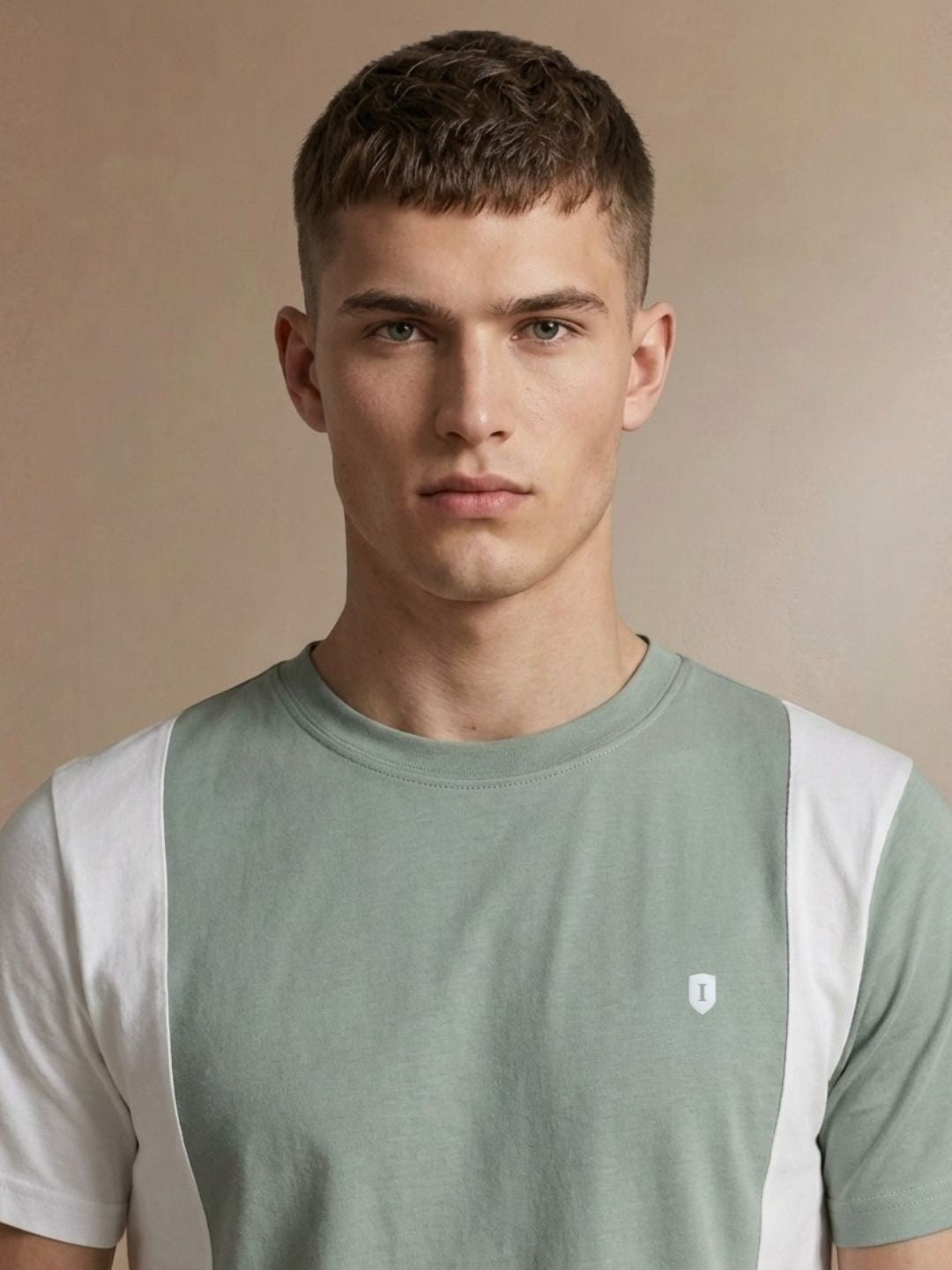 Iconic Men Green Colorblock Regular Fit Pure Cotton T-Shirt