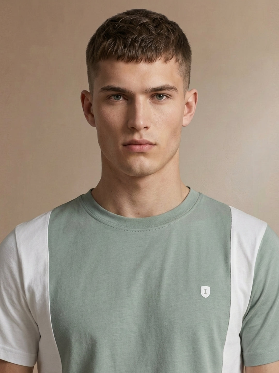 Iconic Men Green Colorblock Regular Fit Pure Cotton T-Shirt