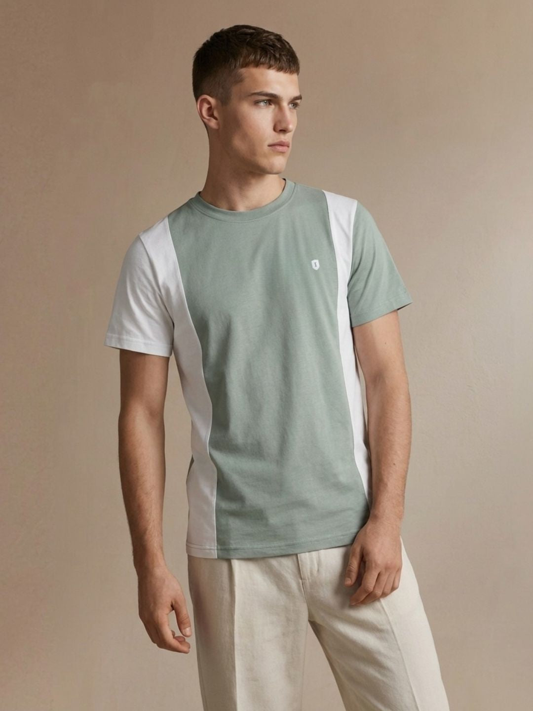 Iconic Men Green Colorblock Regular Fit Pure Cotton T-Shirt