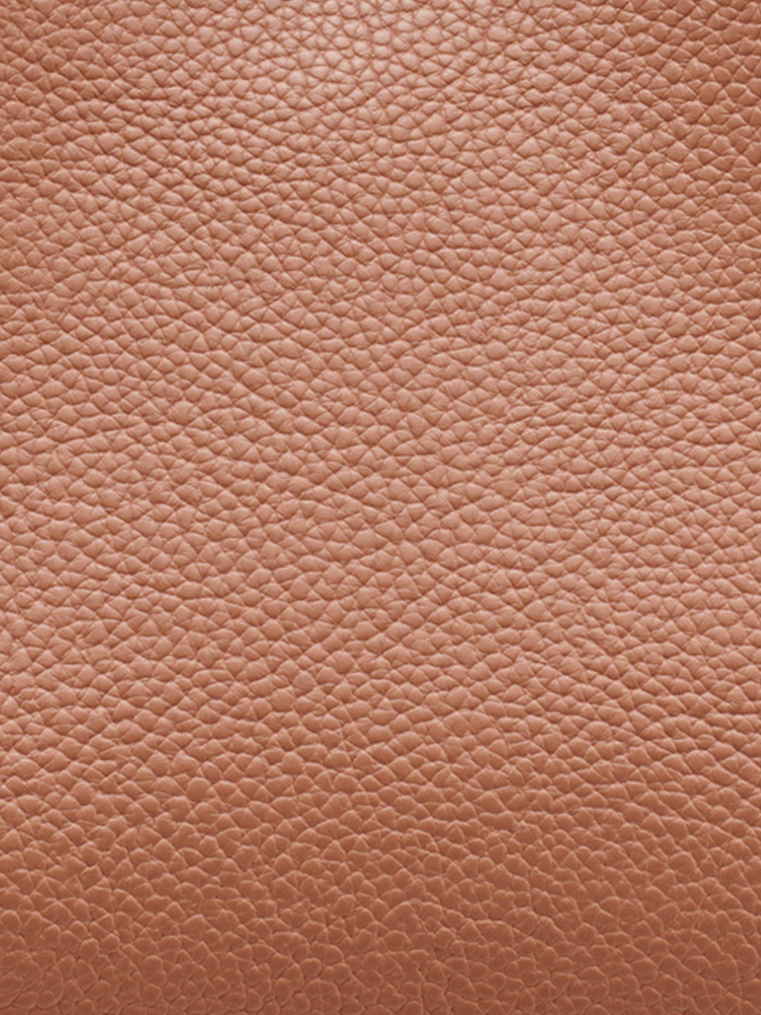 DKNY Women Brown Shoulder Bag