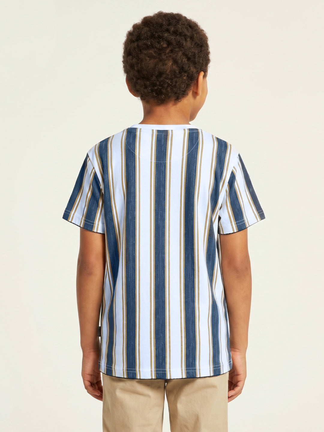 True Religion Boys Multi Striped Regular Fit Pure Cotton T-Shirt
