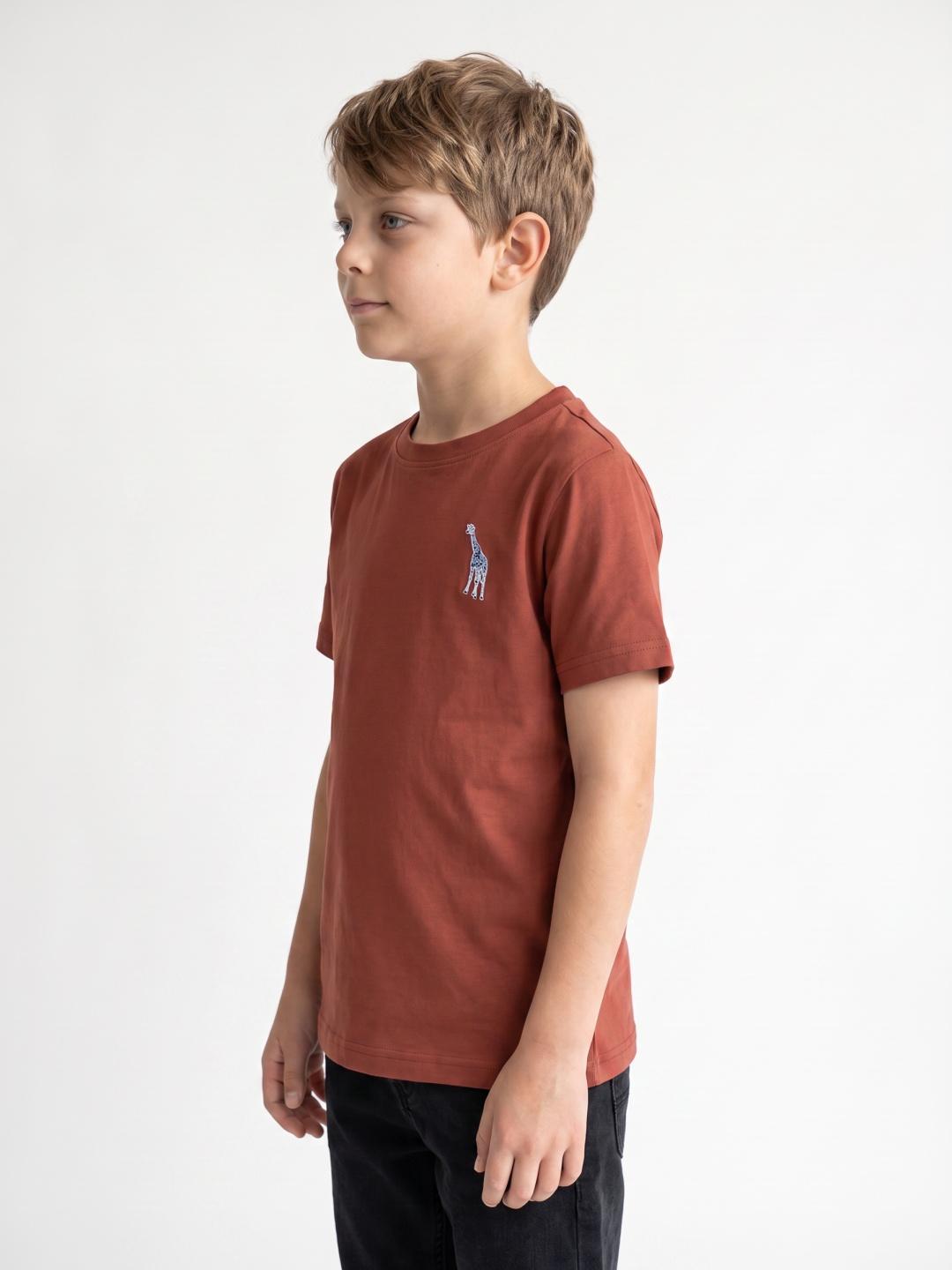 Blue Giraffe Boys Regular Fit Brown Solid Cotton Tshirt