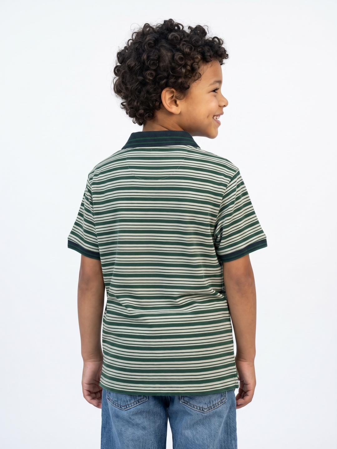 Blue Giraffe Boys Green Regular Fit Striped Polo T-Shirt